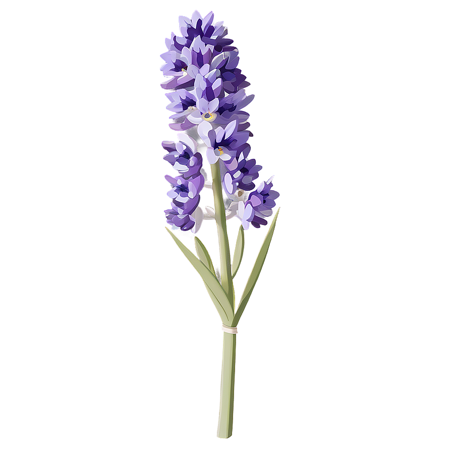 Purple Lavender Bloom Png Hye34