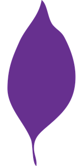 Purple Leaf Graphic PNG with transparent background