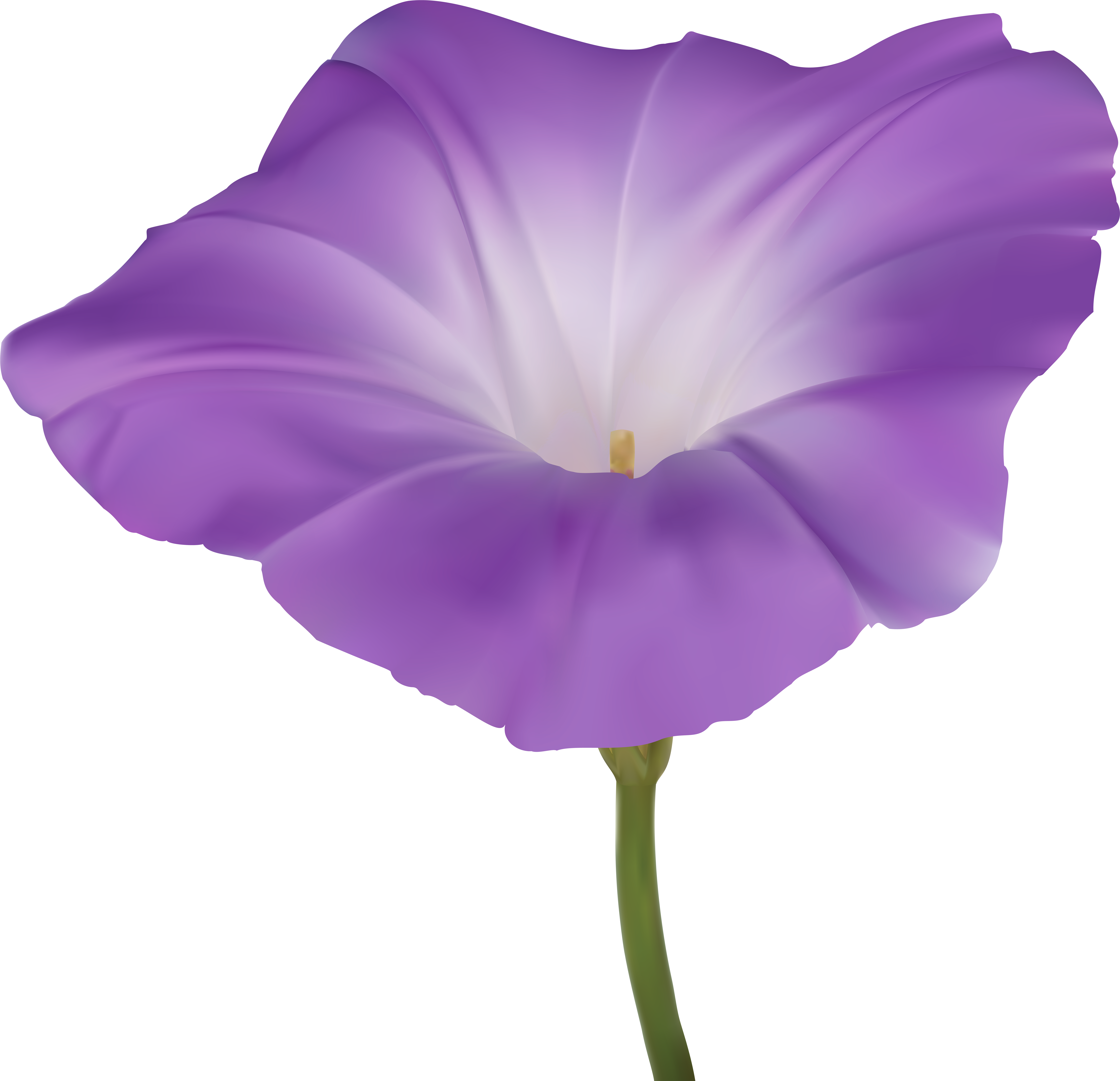 Purple Morning Glory Flower Png Clip Art Image, Transparent Png PNG with transparent background
