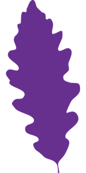 Purple Oak Leaf Silhouette