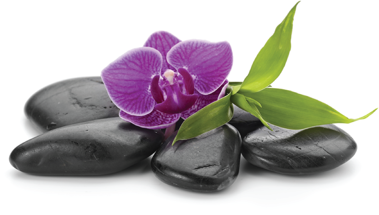 Purple Orchidand Black Spa Stones PNG with transparent background