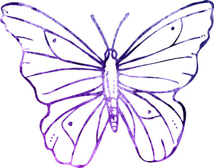 Purple Outlined Butterflyon Black Background PNG with transparent background