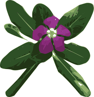 Purple Periwinkle Vector Illustration