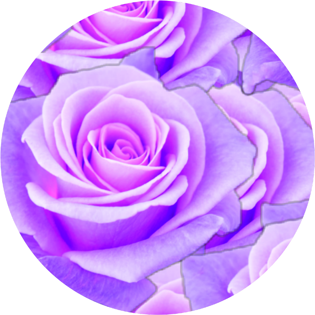 #purple #rose #circle #aesthetic - Aesthetic Purple Rose Png, Transparent Png PNG with transparent background