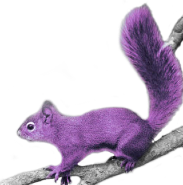 Purple Squirrelon Branch PNG with transparent background