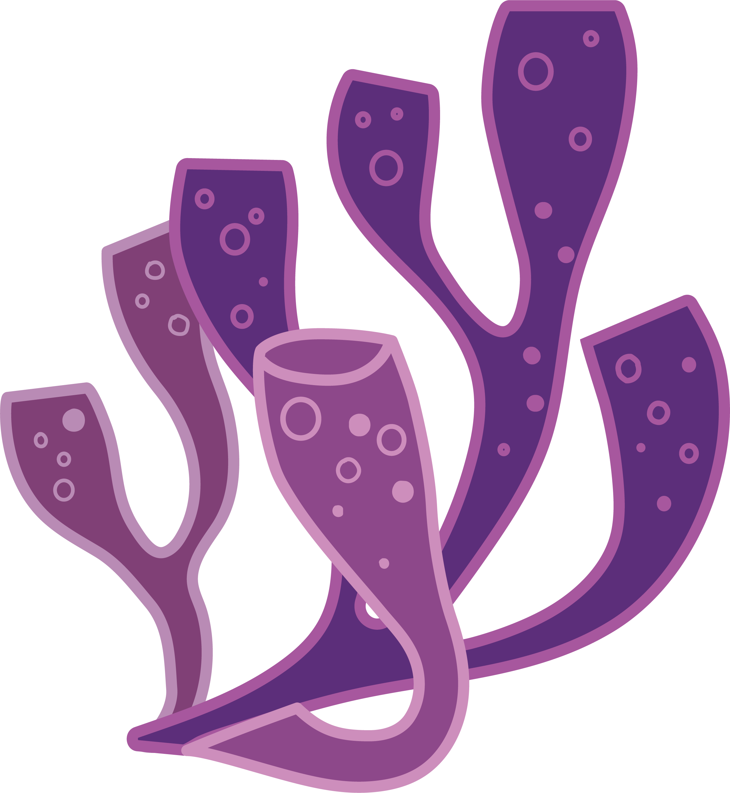 Coral Reef Algae Euclidean Vector - Coral Reef Vector Png, Transparent Png PNG with transparent background