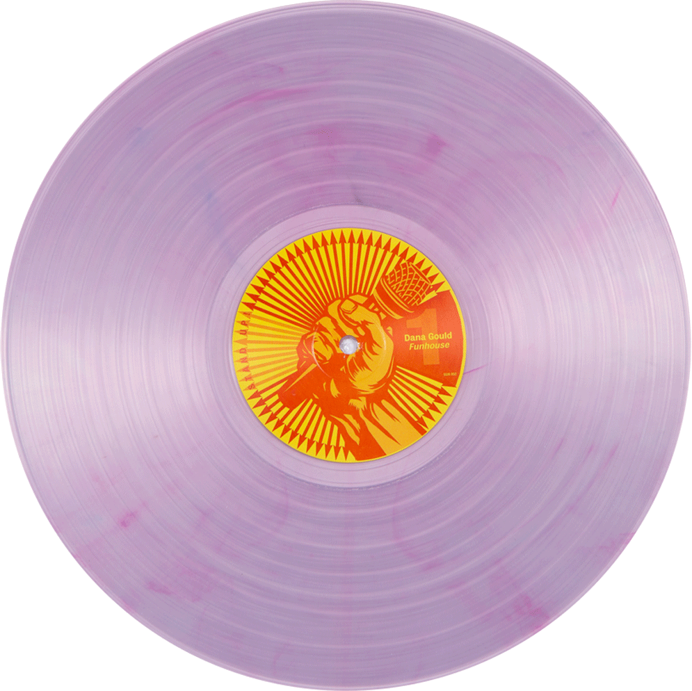 Funhouse - Purple Vinyl Png, Transparent Png PNG with transparent background