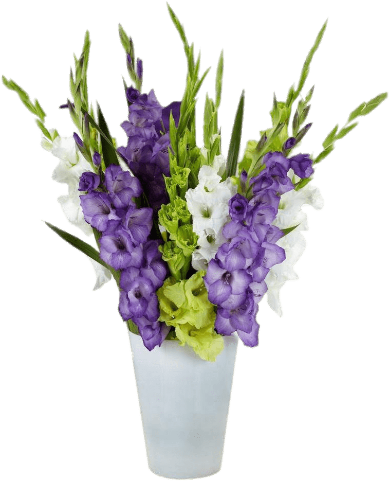 Purpleand White Gladiolus Bouquet