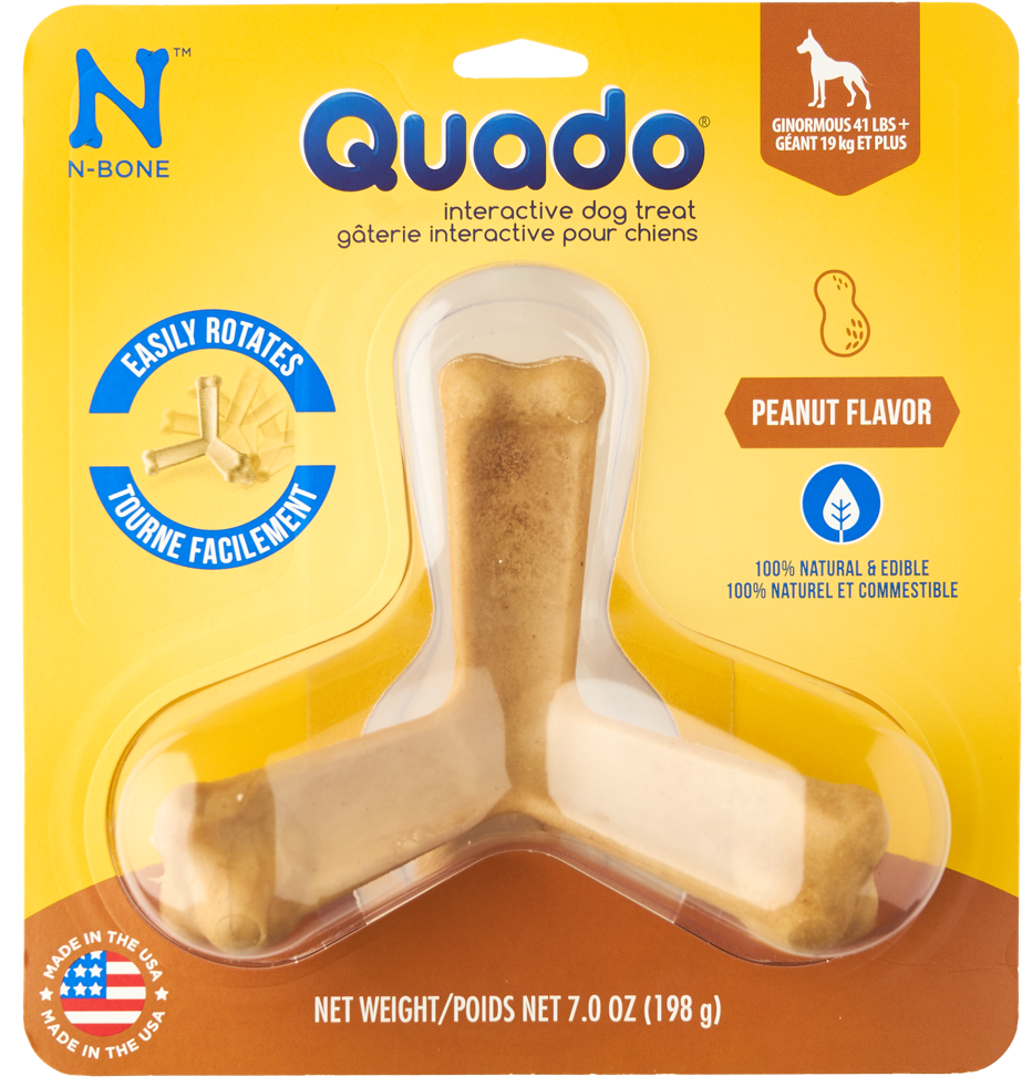 N-bone® Quado® In Peanut'Class= - Quado Pumpkin Spice Dog Treat, HD Png Download PNG image with a transparent background, free high-resolution download