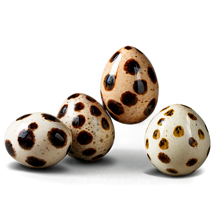 Quail Eggs Png 55