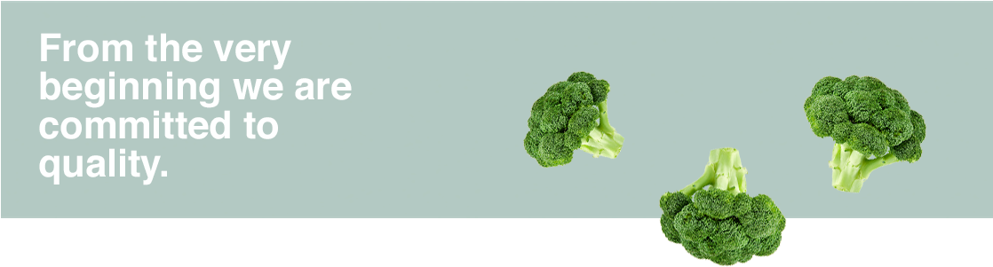 Transparent Brocoli Png - Broccoli, Png Download PNG with transparent background