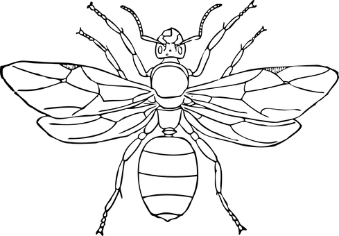Queen Chess Piece Silhouette PNG with transparent background