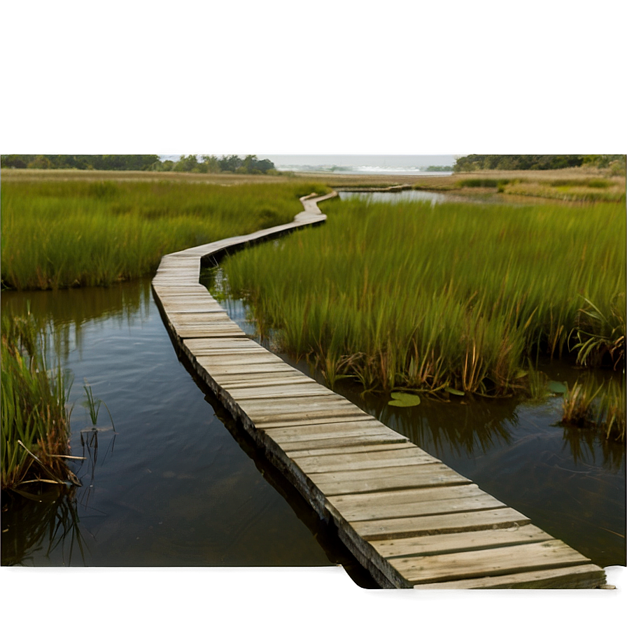 Quiet Marsh Walkway Png Qtq94