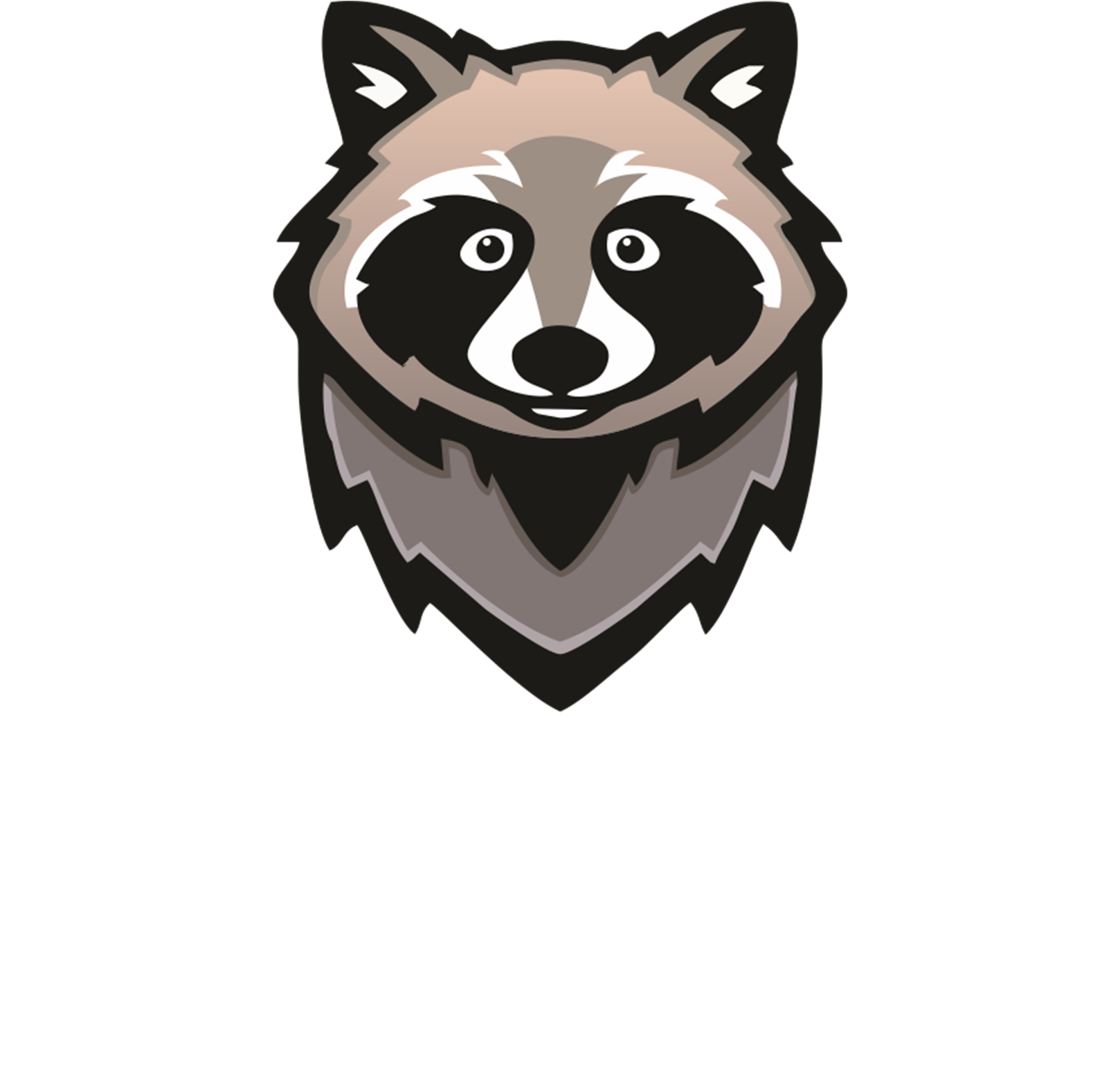 Raccoon, HD Png Download PNG with transparent background