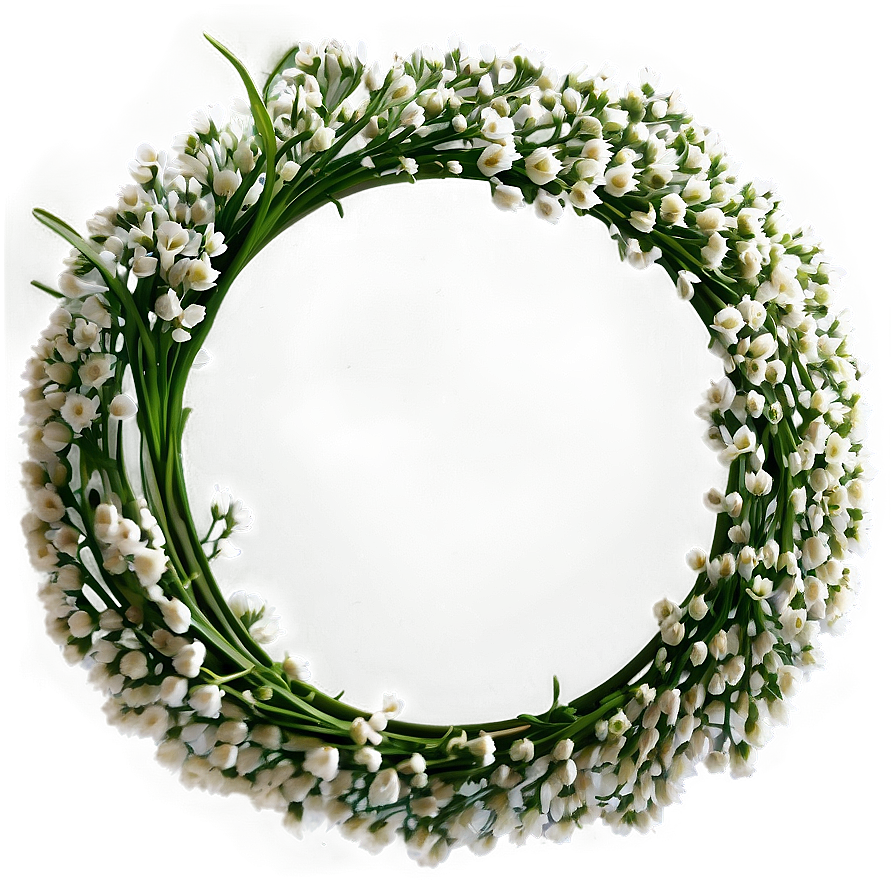 Radiant Baby's Breath Circle Png 06212024