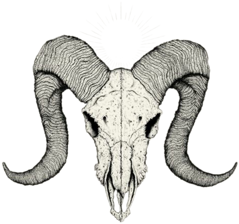 Radiant Horned Skull Illustration.png