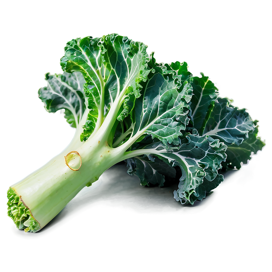 Rainbow Kale Png Stb