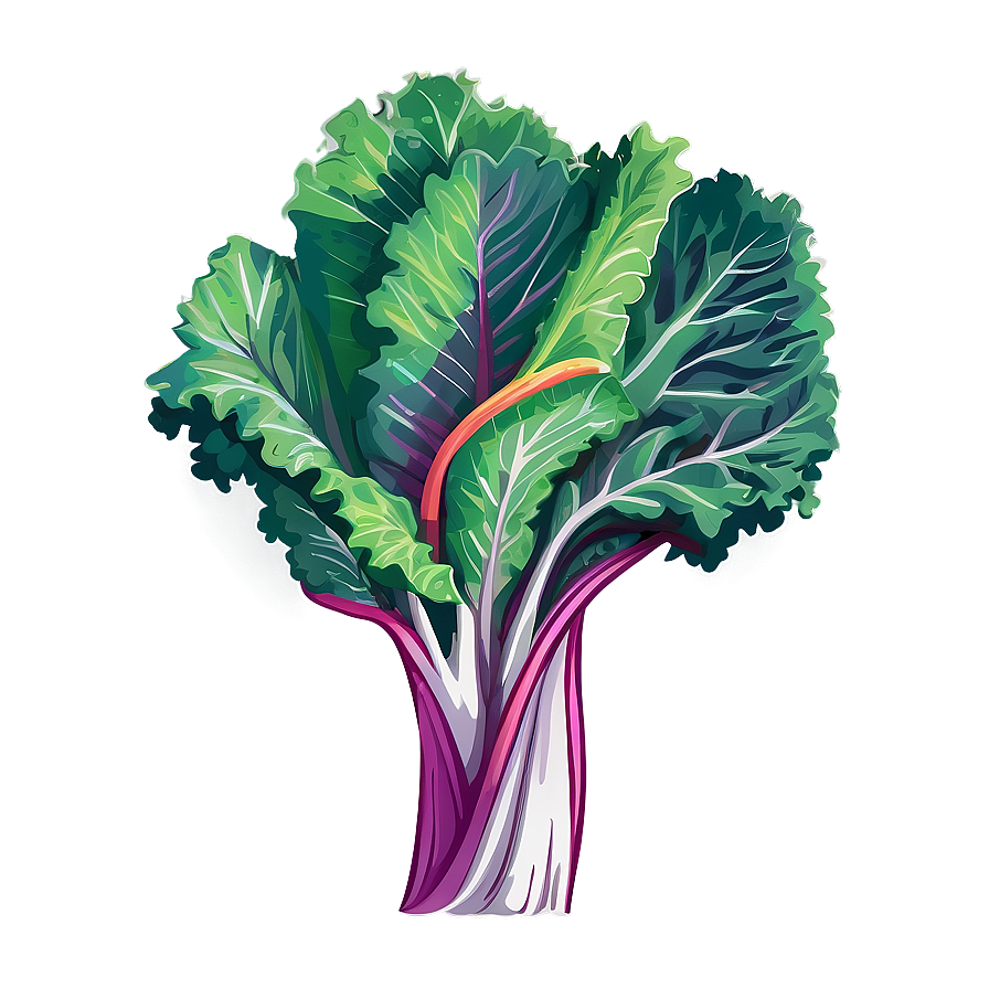 Rainbow Kale Png Xaq