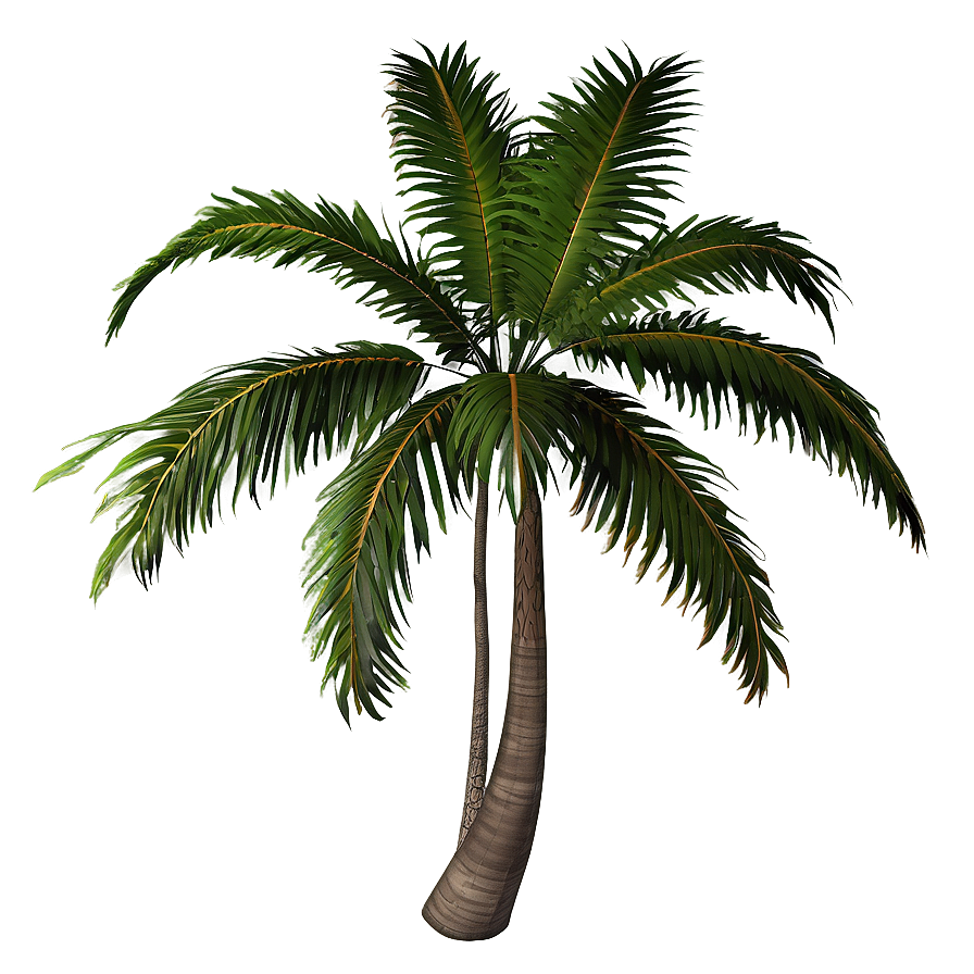 Rainbow Palm Tree Png 98