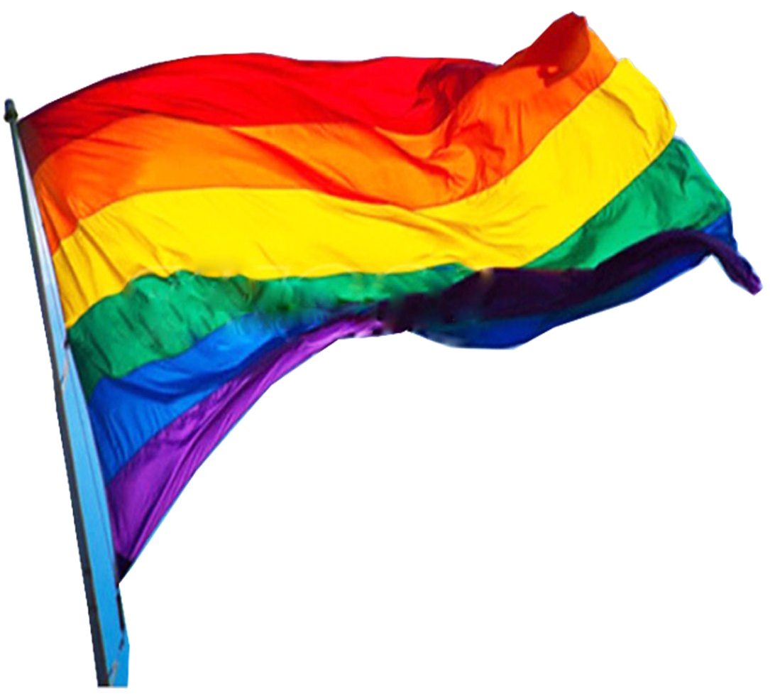 Lgbt Png - Rainbow Flag, Transparent Png PNG with transparent background