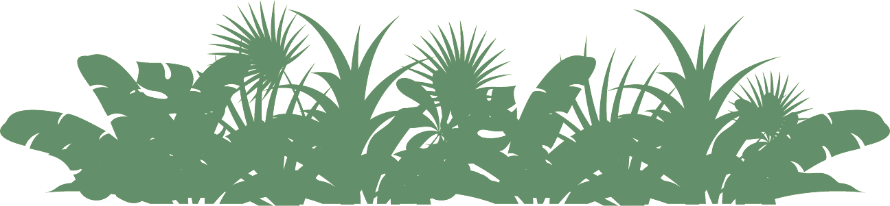 Rainforest Silhouette Vector