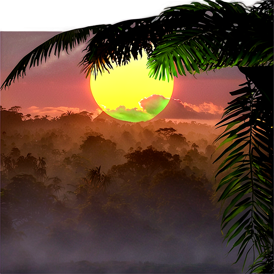 Rainforest Sunrise Png Ppw