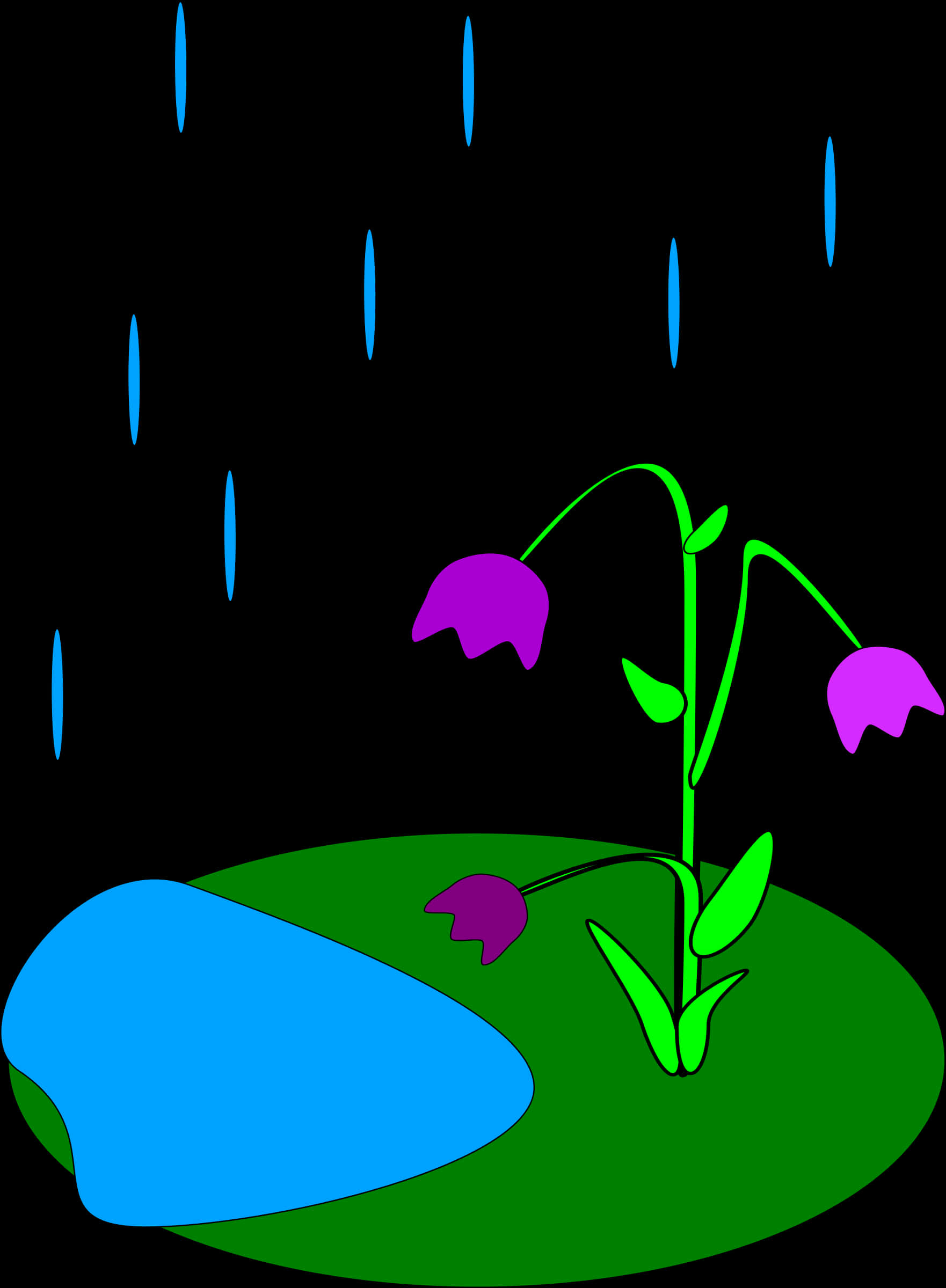 Rainy Night Flower Illustration PNG with transparent background