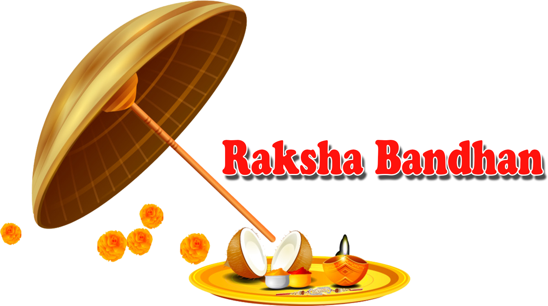 Raksha Bandhan Festival Celebration