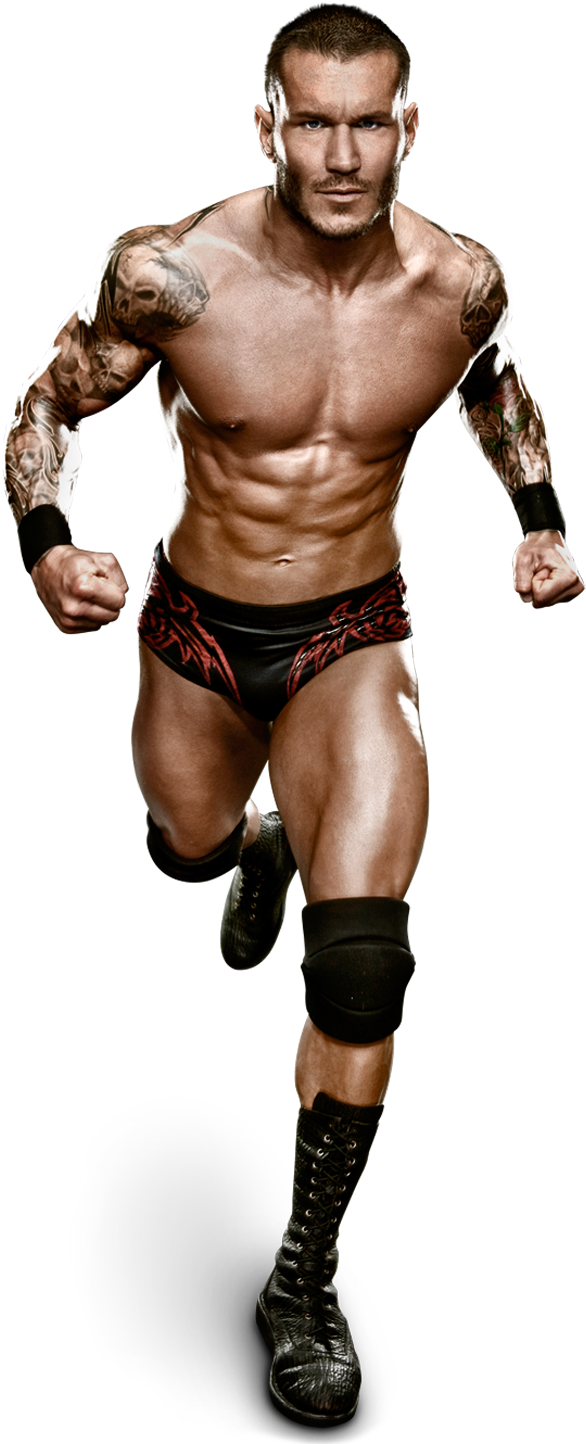 Randy Orton Wrestling Pose