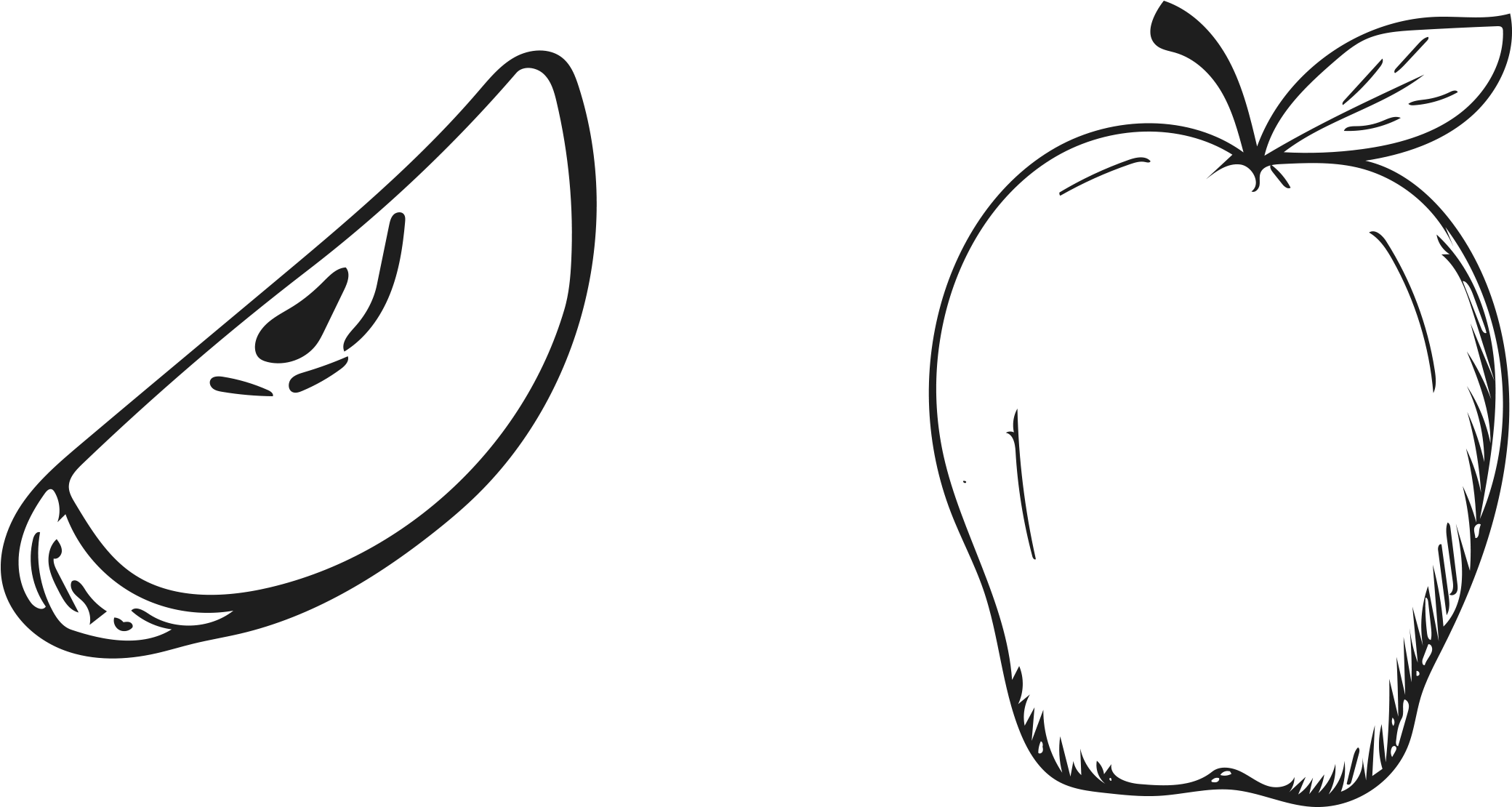 Ranunculus Drawing Hand Drawn Clip Art Freeuse Library - Drawing Fruit In Cartoon, HD Png Download PNG with transparent background