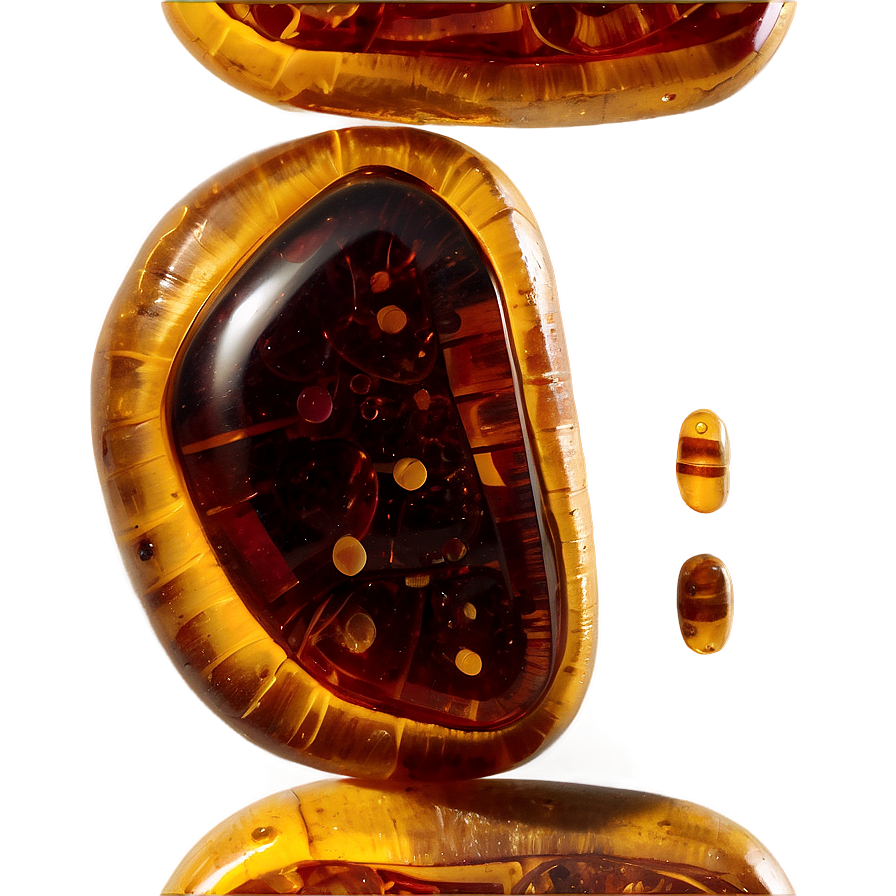 Rare Amber Fossil Png Esn