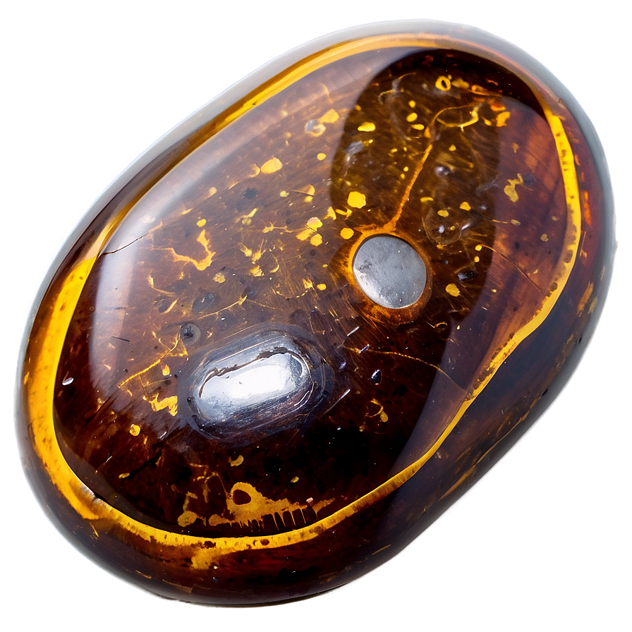 Rare Amber Fossil Png Ewm51