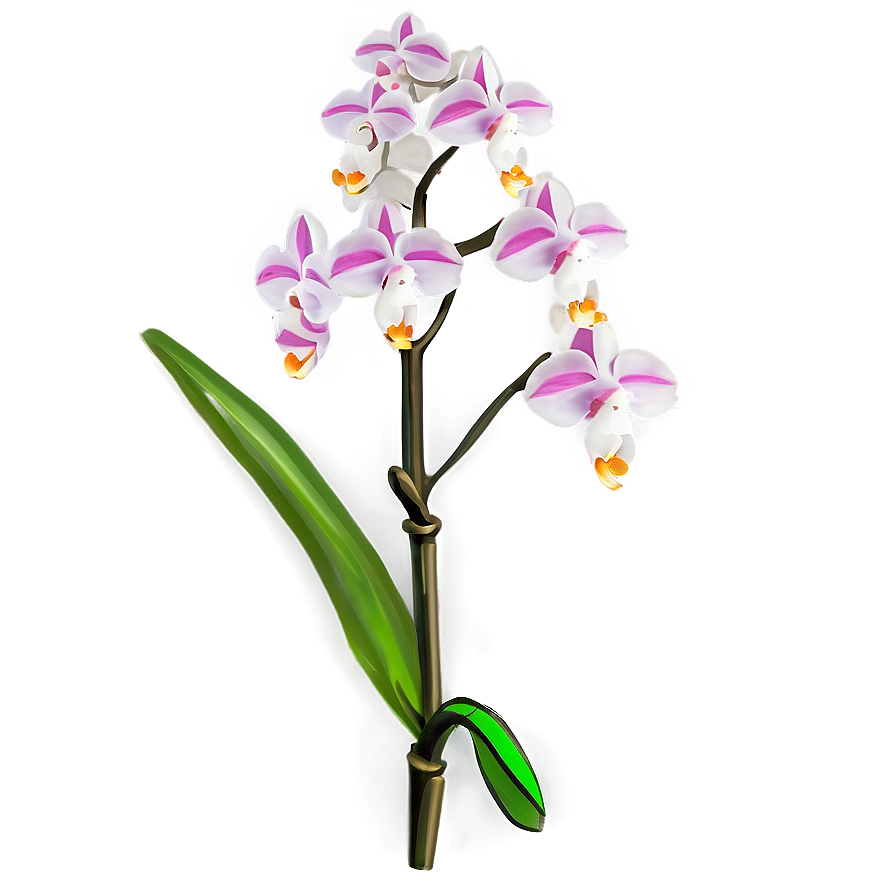 Rare Orchid PNG fws66 PNG with transparent background