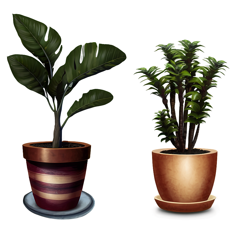 Rare Potted Plants Png 71