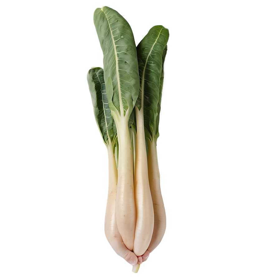 Rare Vegetables Png 94