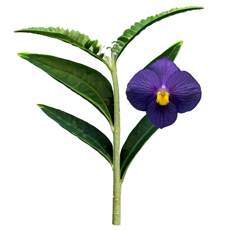 Rare Wildflowers Discovery PNG akx75 PNG with transparent background