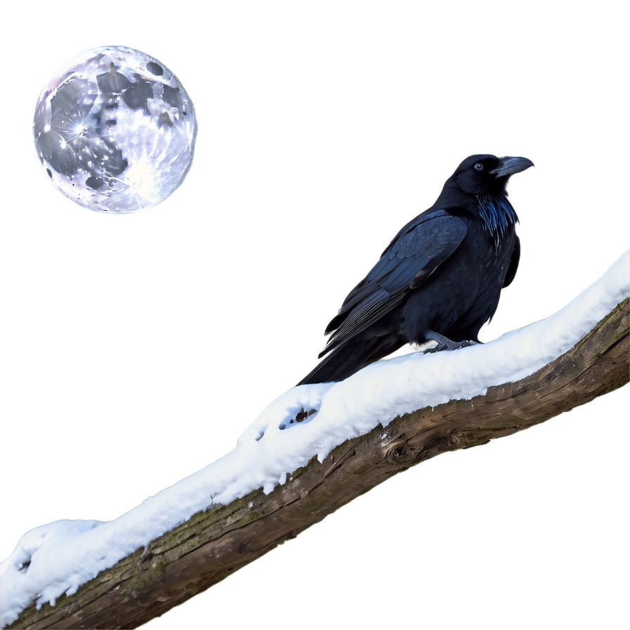 Raven And Full Moon Png Ejf