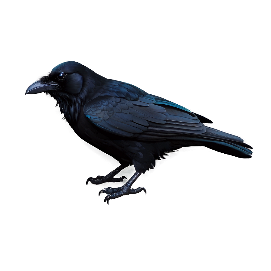 Raven In Darkness Png 05062024