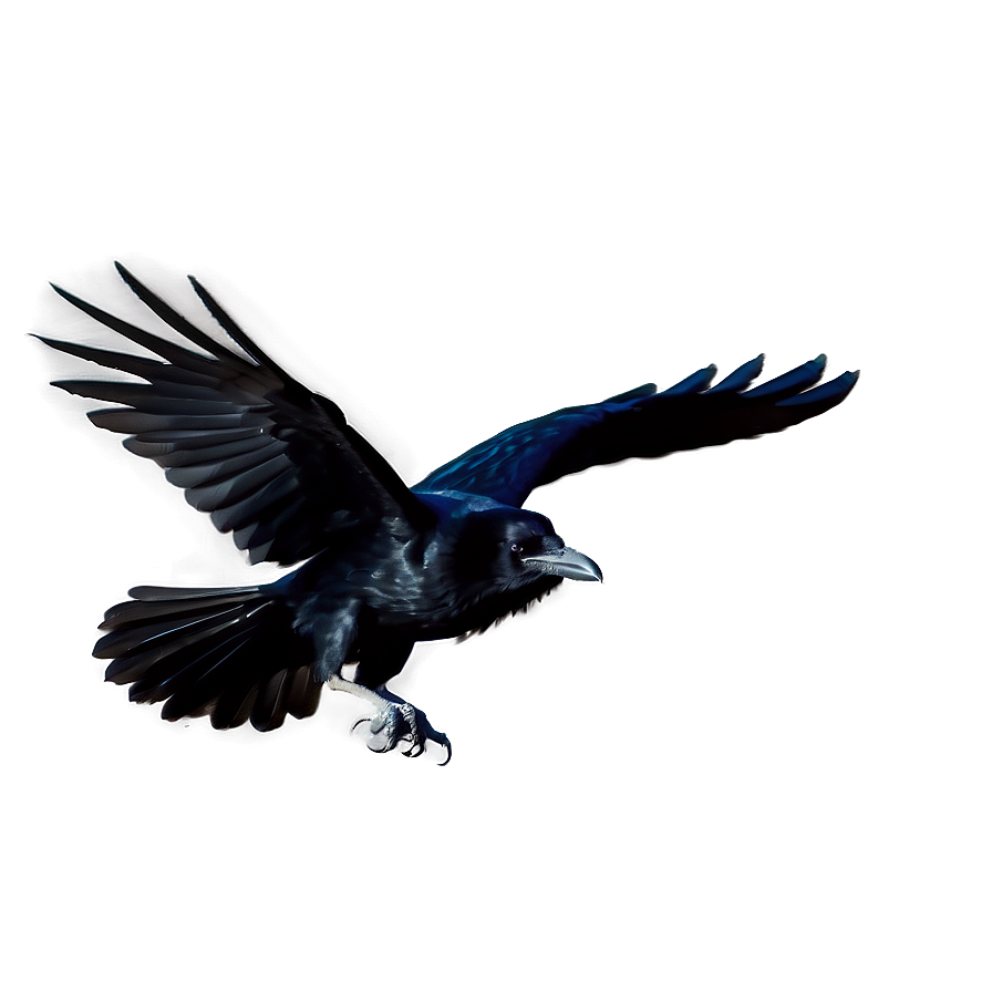 Raven in Flight PNG 05062024 PNG with transparent background