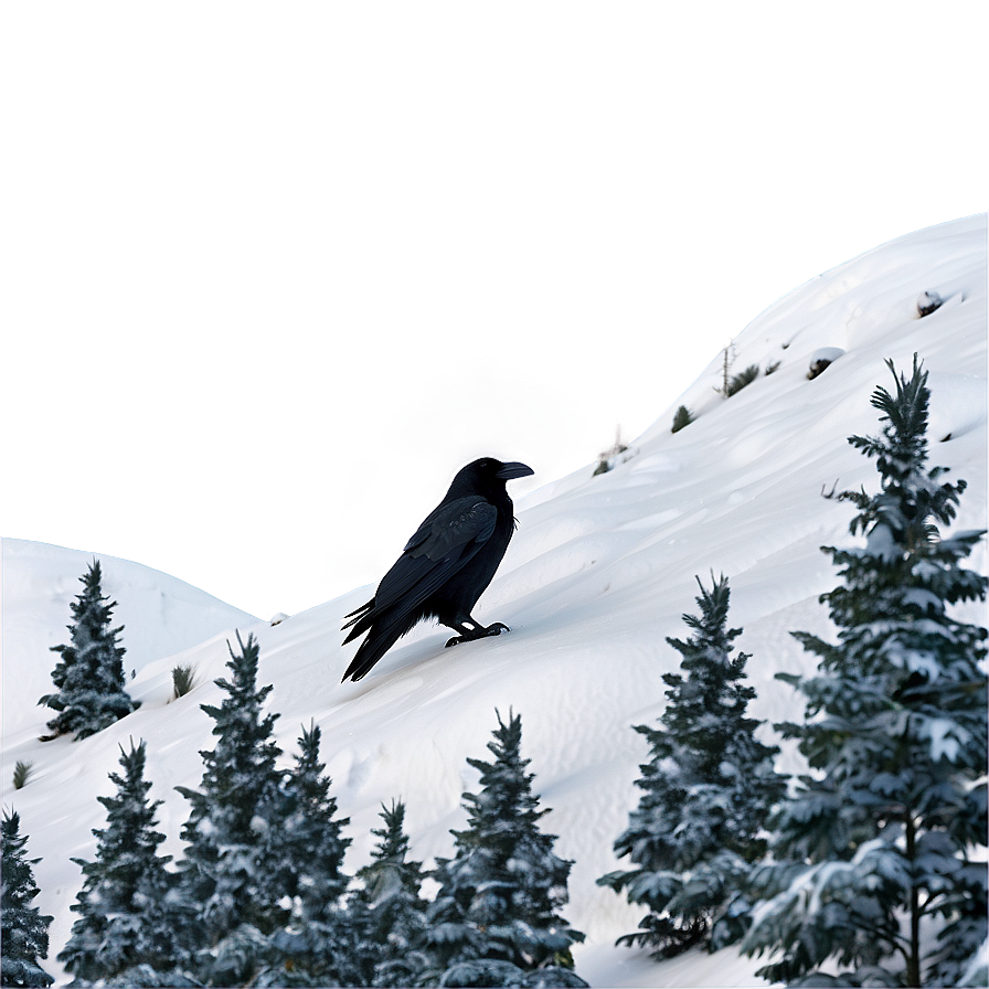 Raven In Snow Landscape Png Rau