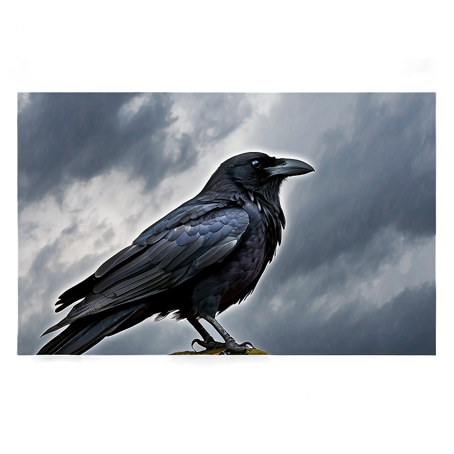 Raven In Stormy Sky Png 13