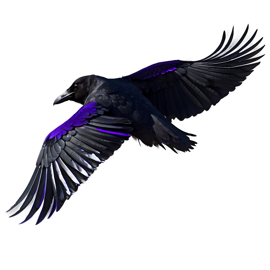 Raven Profile View PNG kww49 PNG with transparent background