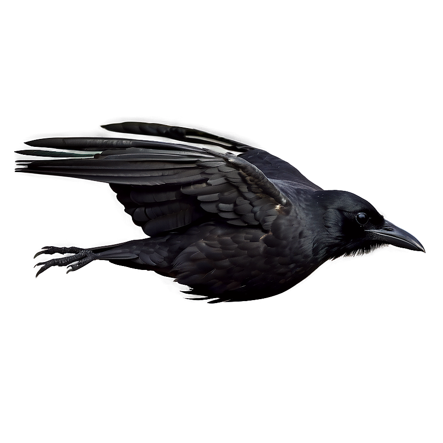 Raven Silhouette In Flight Png Xoj