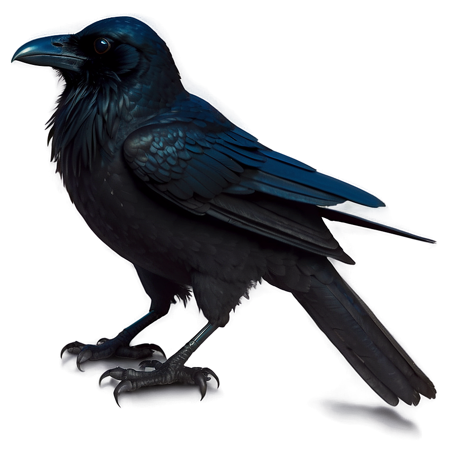 Raven Silhouette PNG gpe PNG with transparent background