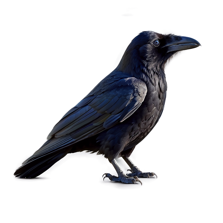 Raven With Background Png Hux44