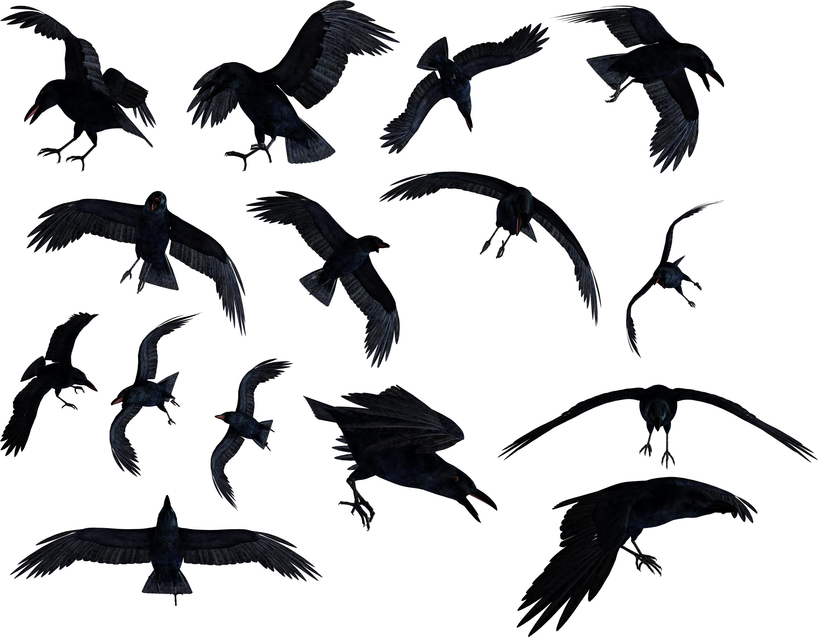 Ravens Png - Raven Png - Ravens Png, Transparent Png PNG with transparent background