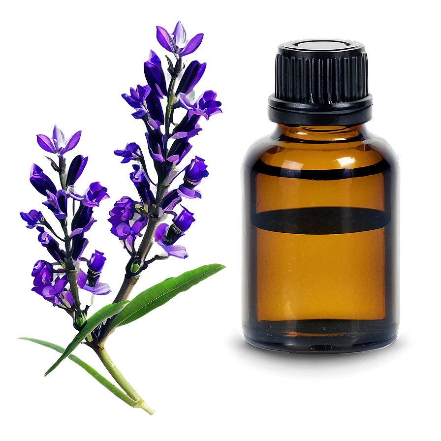 Ravensara Essential Oil Png Gjh20