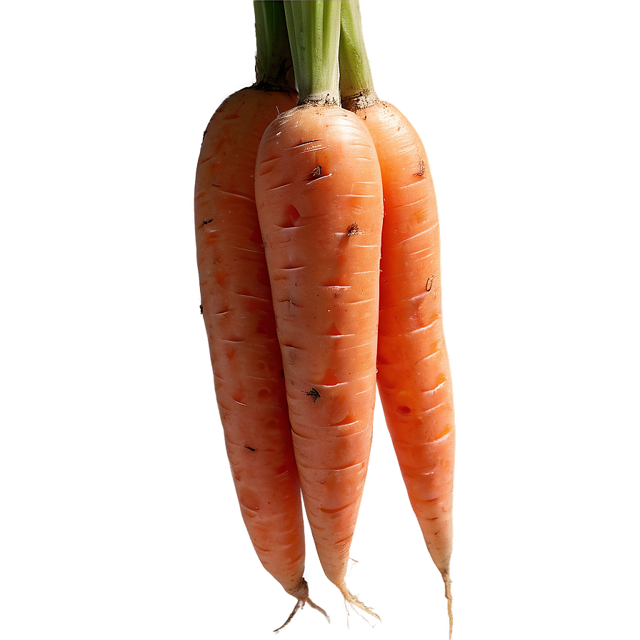 Raw Carrot Png 86