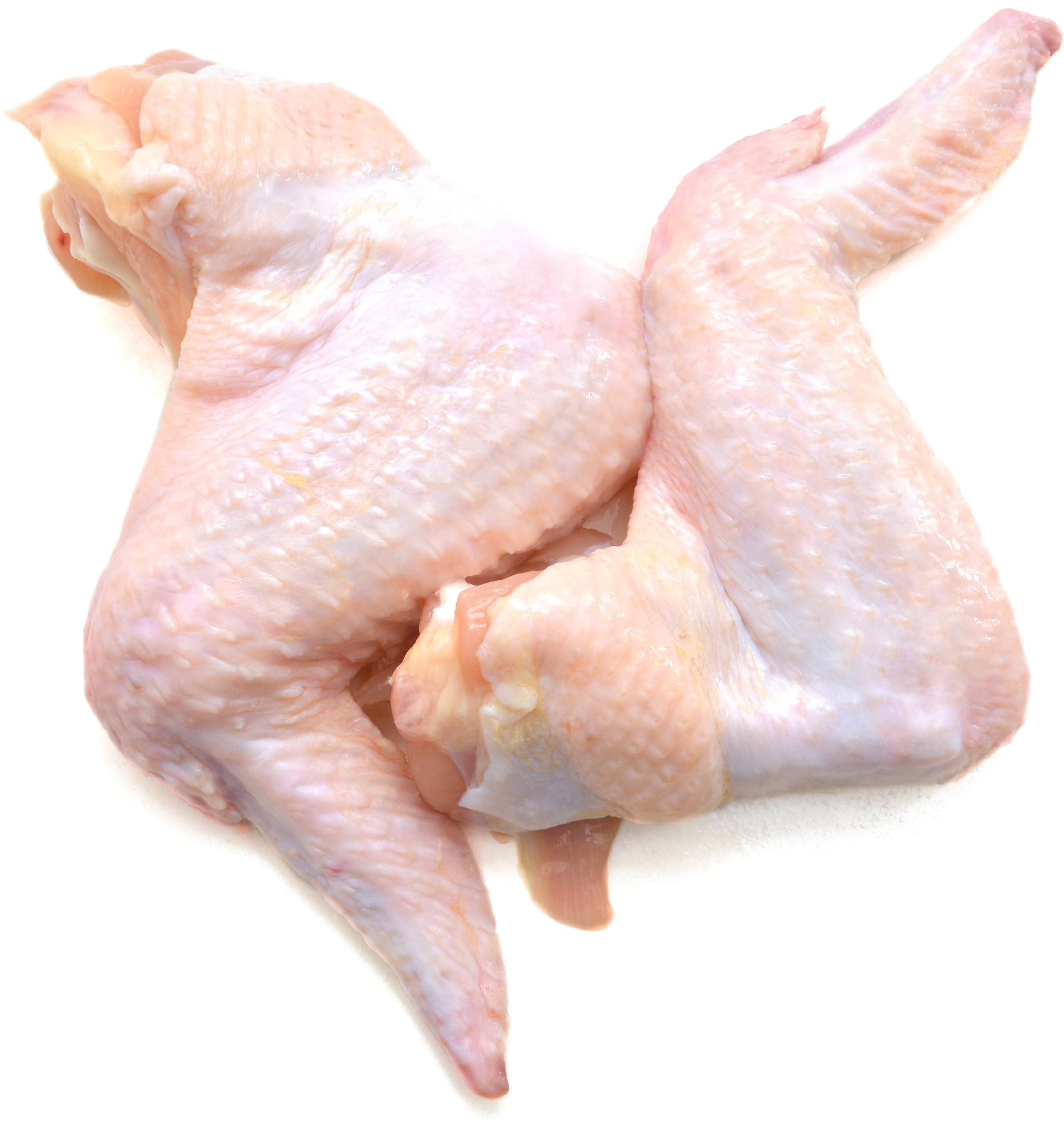 Chicken Meat Png Picture - Fresh Chicken Wing Png, Transparent Png PNG with transparent background