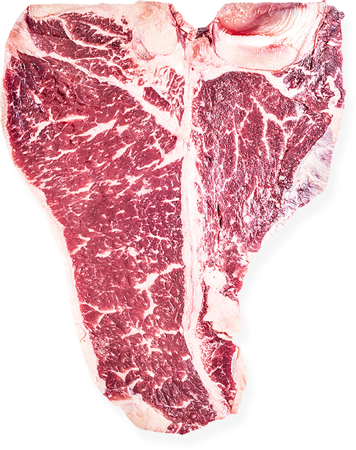 Raw T Bone Steak